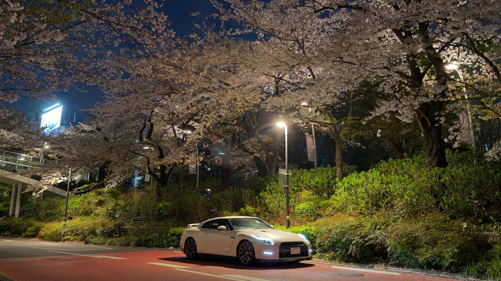Nissan GT-R beneath illuminated cherry blossoms in Tokyo